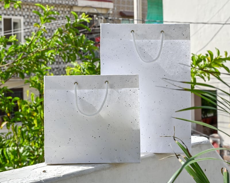 Seed Paper Making